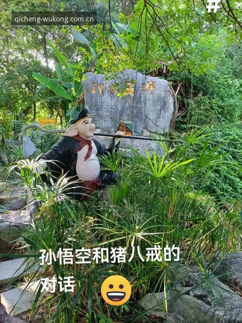 悟空体育APP下载怎么下载 3步搞定悟空体育APP下载:从犹豫到畅玩的真实体验